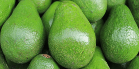 avocado-min